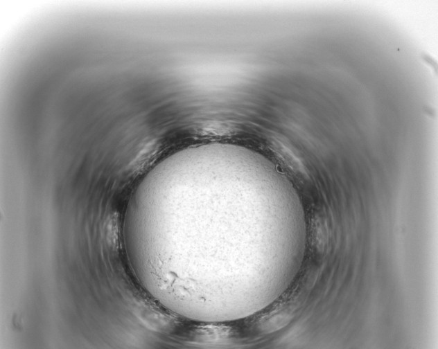 X0000093770328200710301211