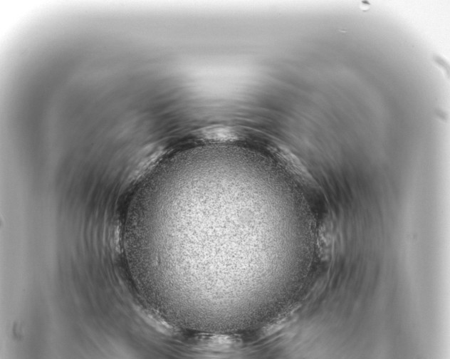 X0000093770330200710301210