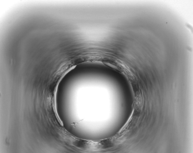 X0000093770333200710301210