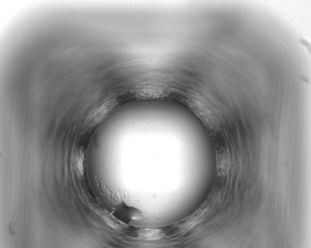 X0000093770334200710301210