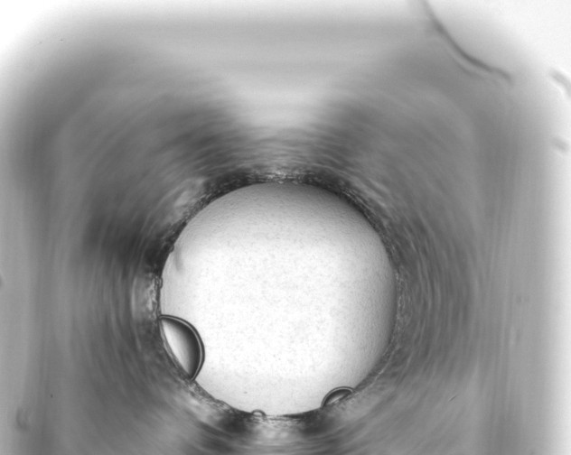 X0000093770336200710301210