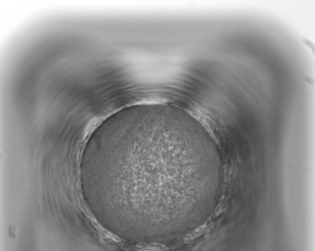 X0000093770337200710301210