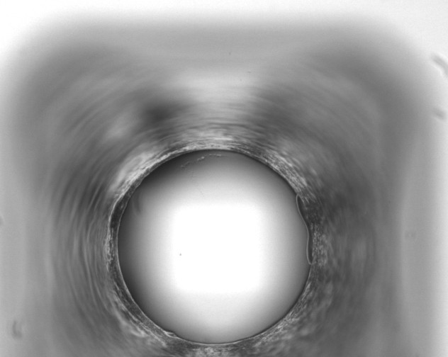 X0000093770338200710301210