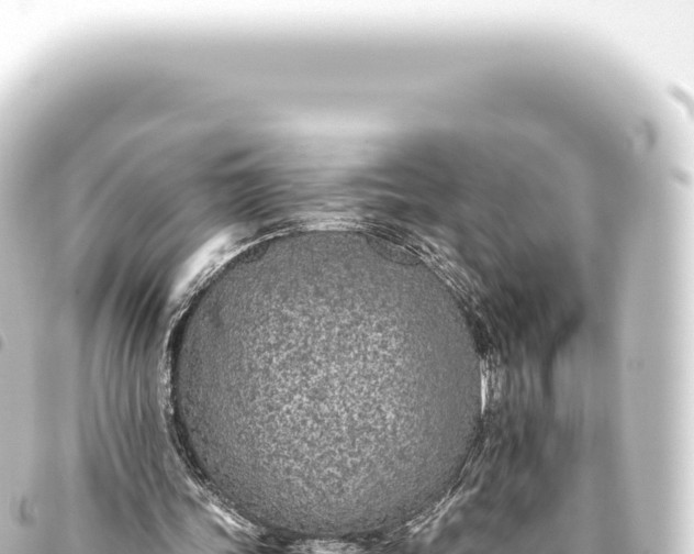 X0000093770339200710301210