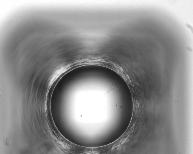 X0000093770340200710301210