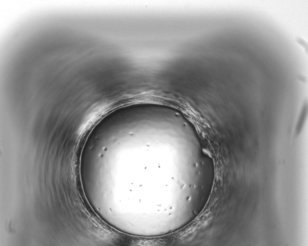 X0000093770341200710301210