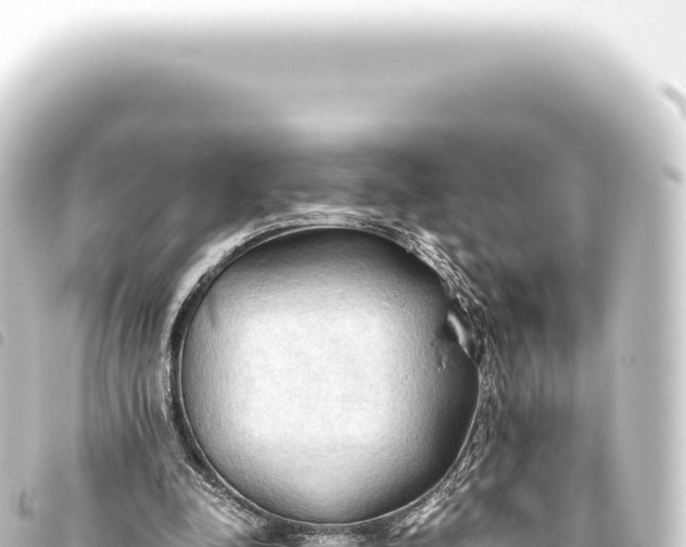 X0000093770342200710301210