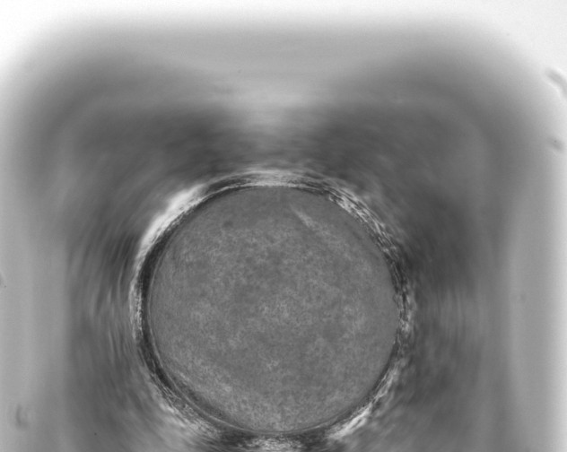 X0000093770343200710301210