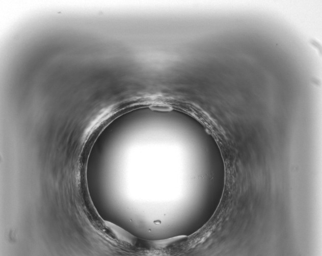 X0000093770344200710301210