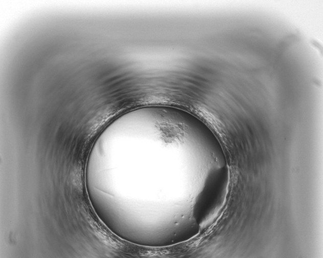 X0000093770345200710301210