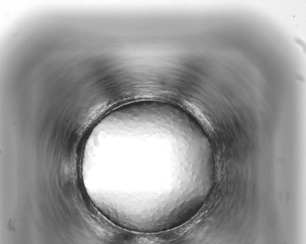 X0000093770346200710301210