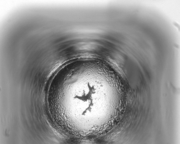 X0000093770347200710301210