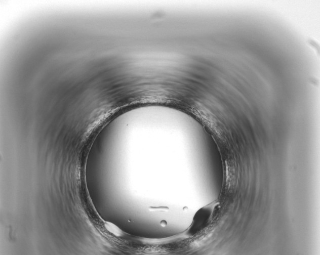 X0000093770348200710301210