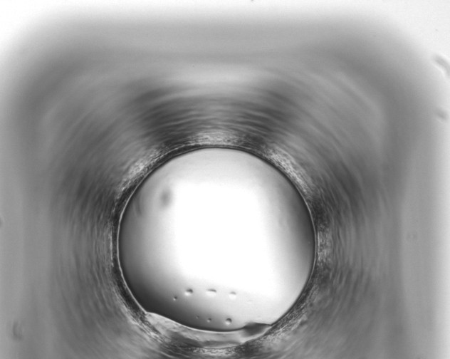 X0000093770349200710301210