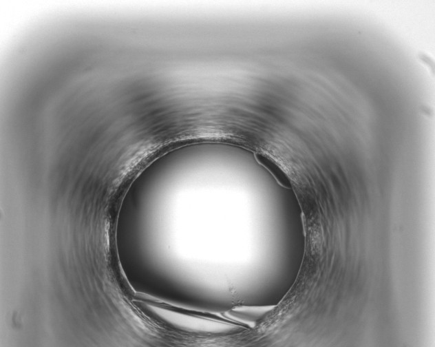 X0000093770350200710301210