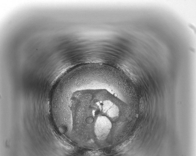 X0000093770351200710301210