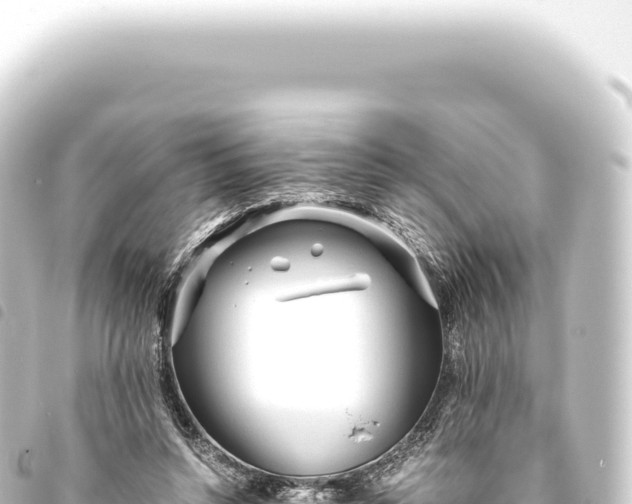 X0000093770352200710301210