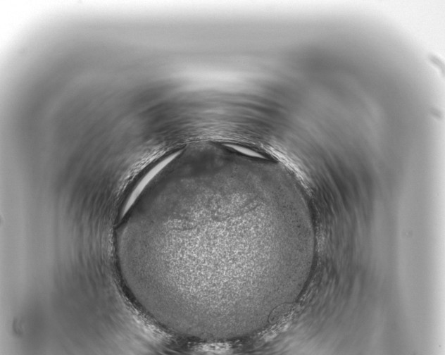 X0000093770353200710301210