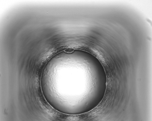 X0000093770354200710301210