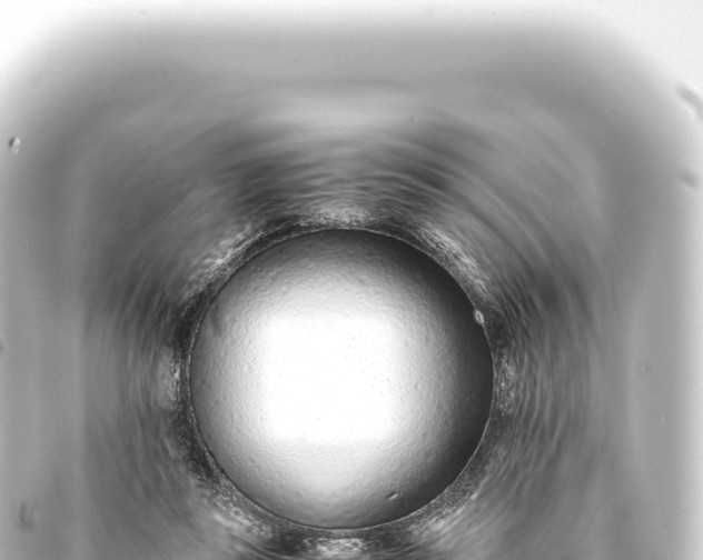 X0000093770355200710301210