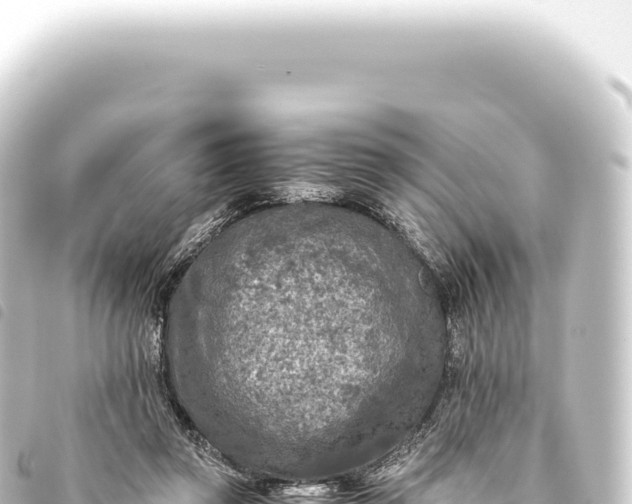 X0000093770357200710301210