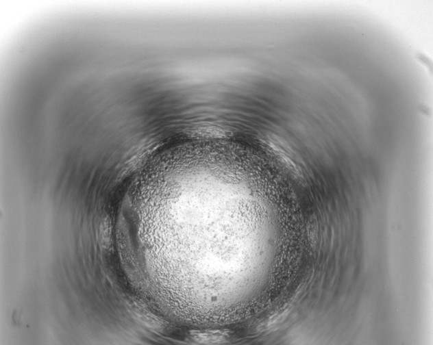 X0000093770359200710301210