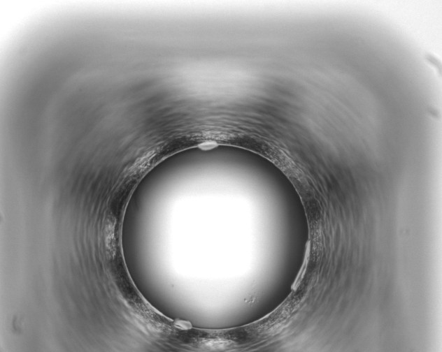 X0000093770360200710301210