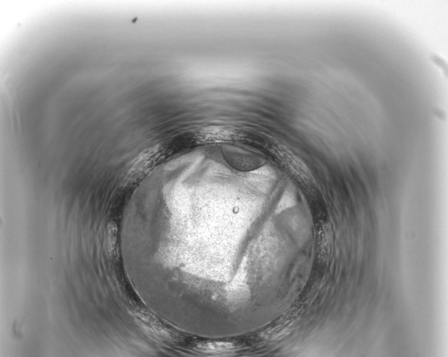 X0000093770361200710301210