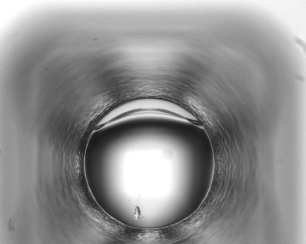 X0000093770362200710301210