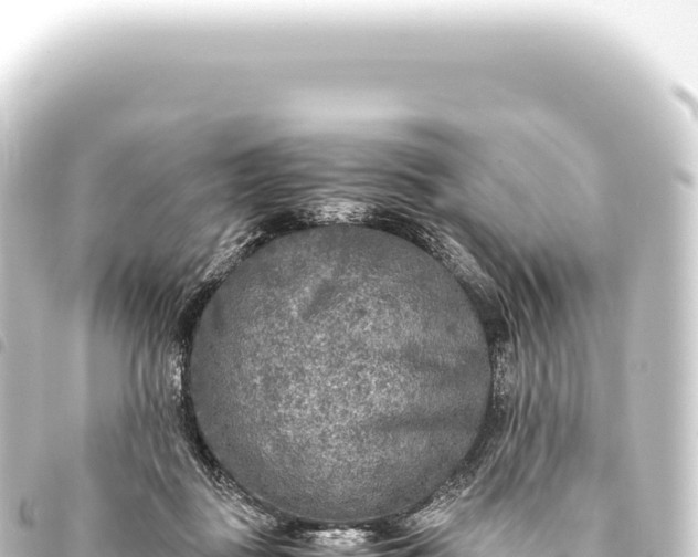 X0000093770363200710301210