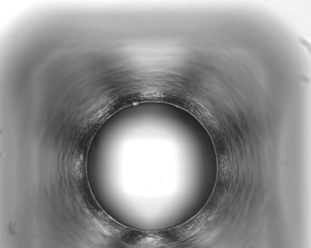 X0000093770364200710301210