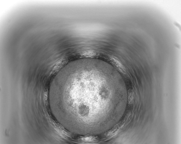 X0000093770365200710301210