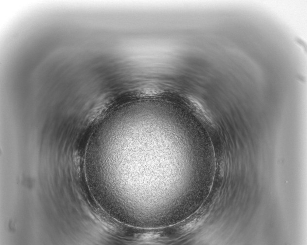 X0000093770366200710301210