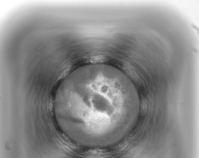 X0000093770367200710301210