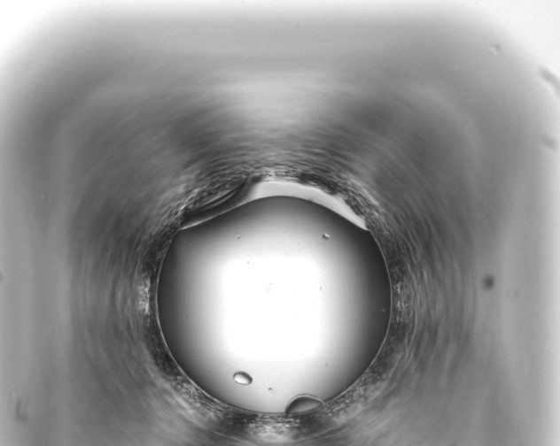 X0000093770368200710301210