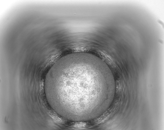 X0000093770369200710301210