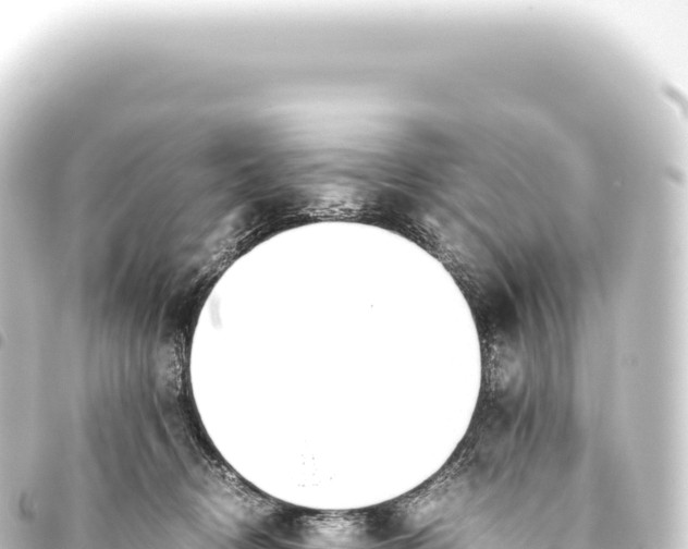 X0000093770370200710301210