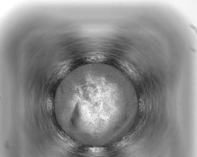 X0000093770371200710301210