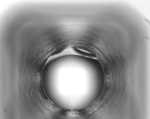 X0000093770372200710301210