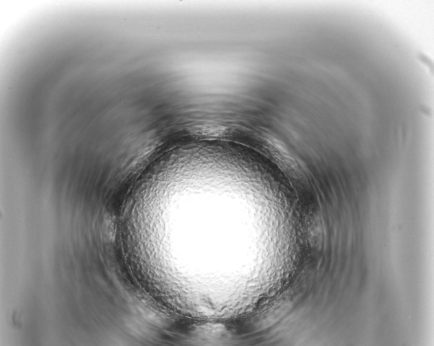 X0000093770374200710301210