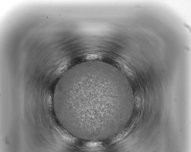 X0000093770375200710301210