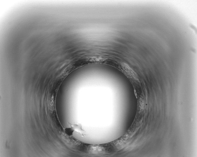 X0000093770376200710301210