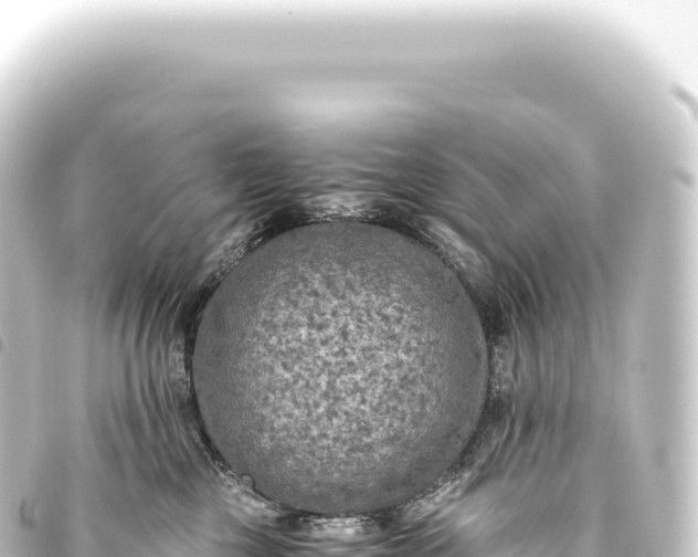 X0000093770377200710301210