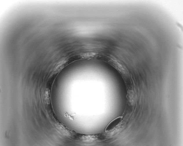 X0000093770378200710301210