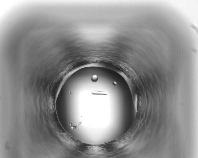 X0000093770380200710301210