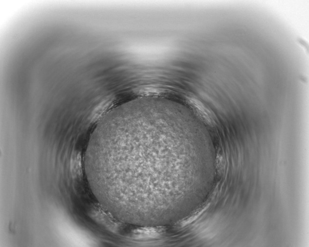 X0000093770381200710301210