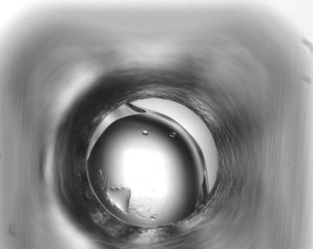 X0000093770382200710301210