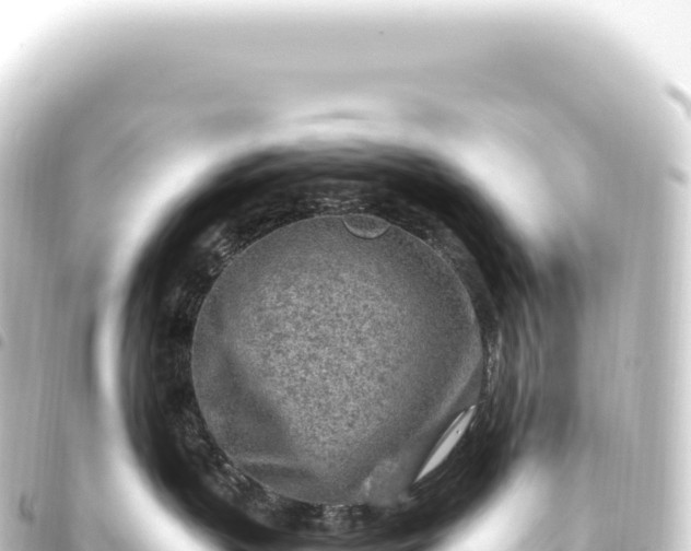 X0000093770383200710301210