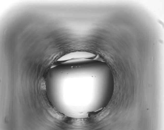 X0000093770384200710301210