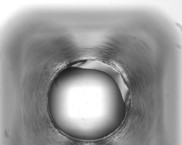 X0000093770385200710301210